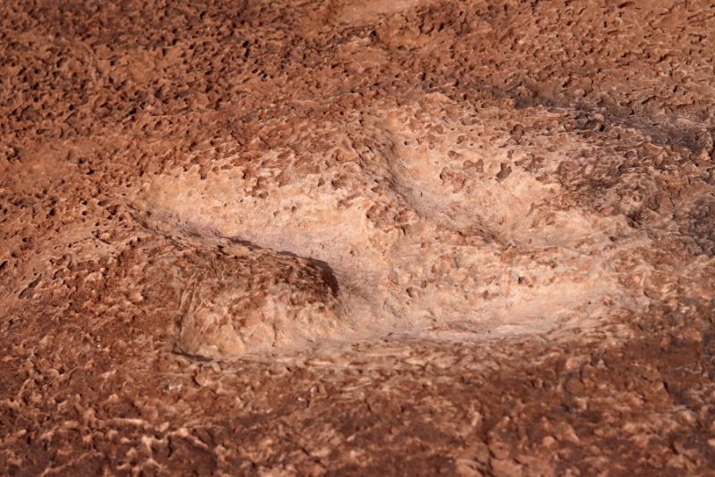 dinosaur tracks in Potash Road, Moab