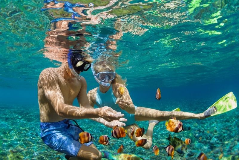 snorkeling in Cabo San Lucas