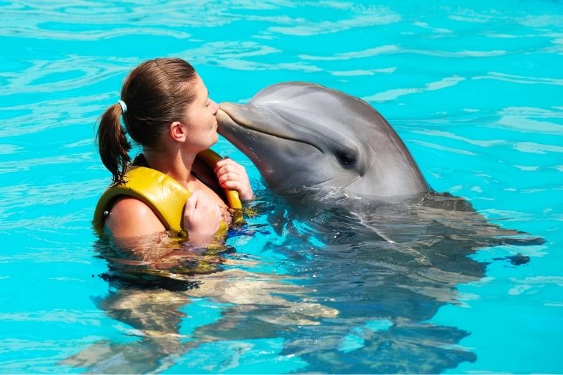 swim with dolphins in The Bahamas