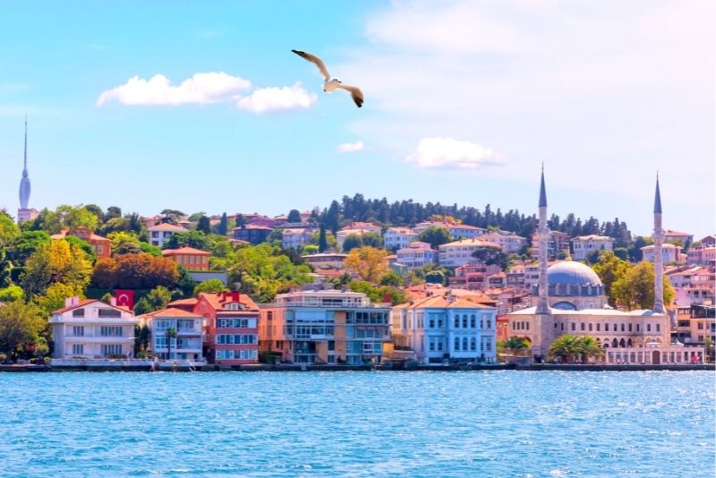 62 fun unusual things to do in istanbul turkey tourscanner