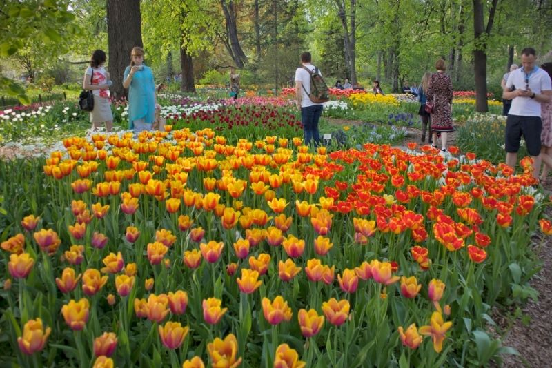 Botanic Gardens of Moscow State University, Moscow