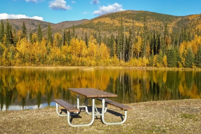 43 Fun Things to Do in Fairbanks, Alaska TourScanner