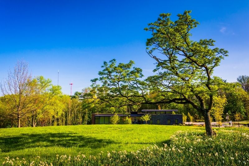 Cylburn Arboretum, Baltimore