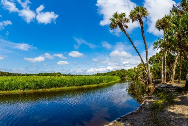 Myakka River State Park, Sarasota, Florida