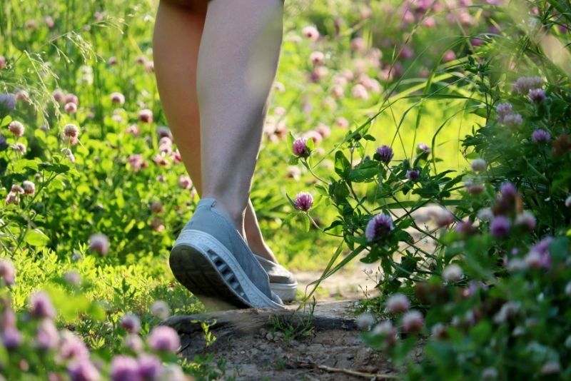 The North Carolina Botanical Gardens at UNCC