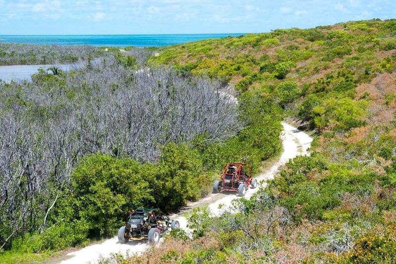 buggy tour in Turks and Caicos