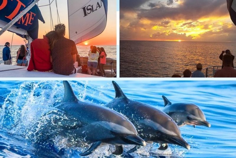 dolphin watching tours in Panama City Beach