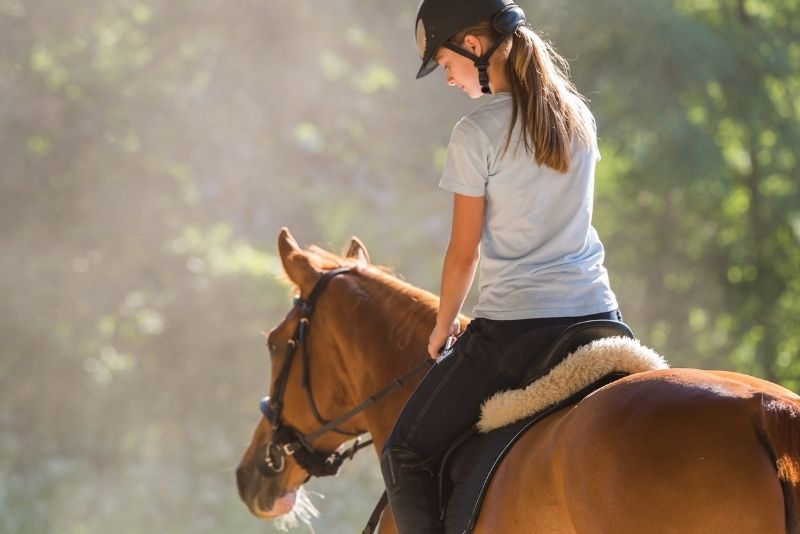 horse riding in Panama City Beach