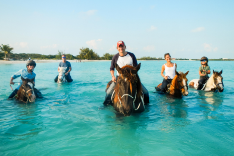 75 Fun Things to Do in Turks and Caicos Islands - TourScanner