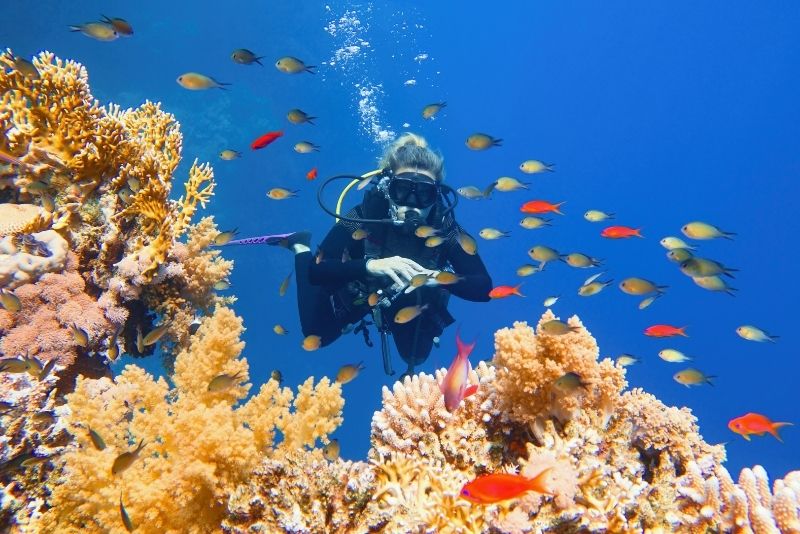 Red Sea Divers Hurghada