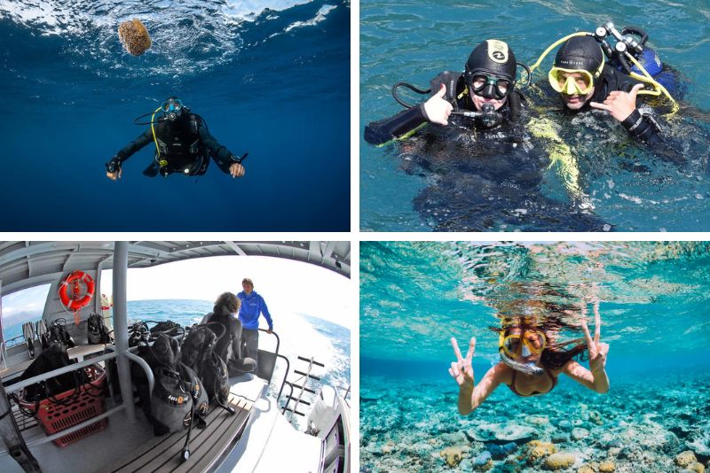 snorkeling tours in Monaco