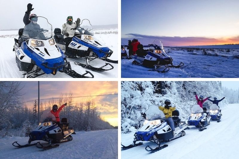 43 Fun Things to Do in Fairbanks, Alaska TourScanner