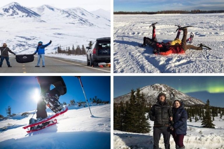 43 Fun Things to Do in Fairbanks, Alaska TourScanner