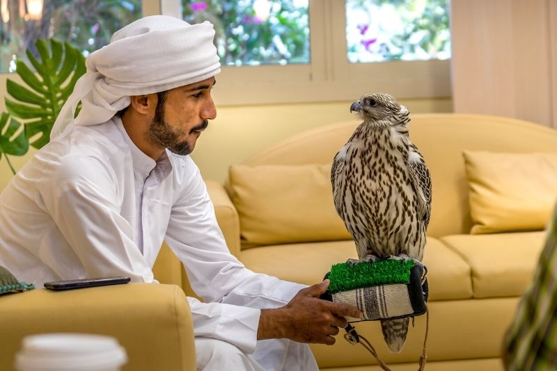 Falkenkrankenhaus, Abu Dhabi