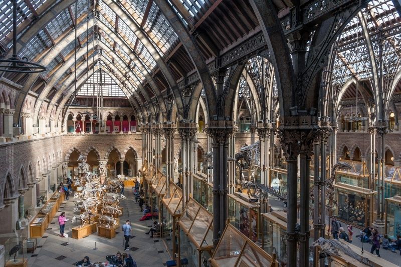 Museum für Naturgeschichte, Universität Oxford