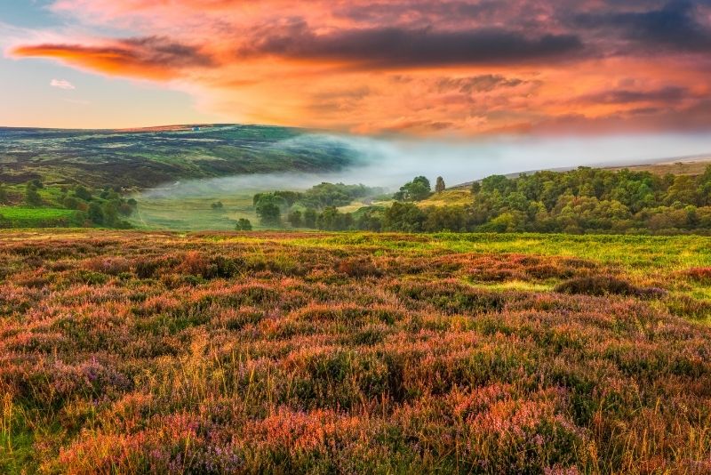 North Yorkshire Moors, York