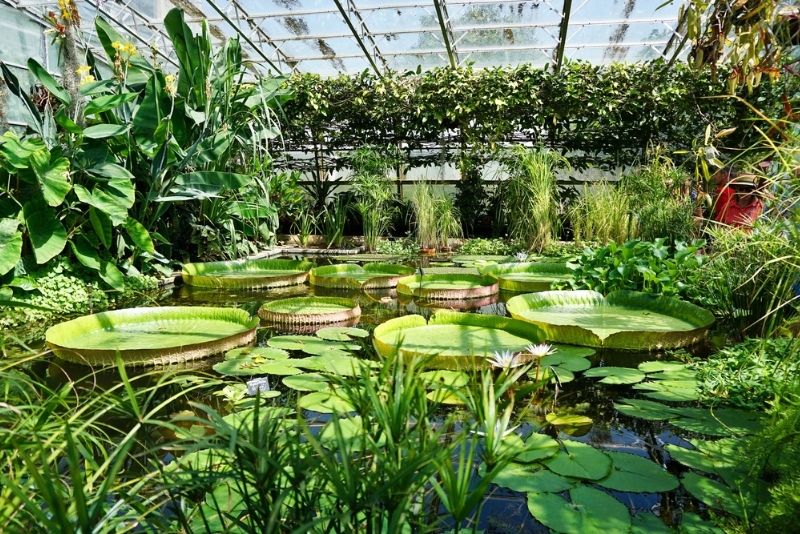 Oxford Botanic Garden, Oxford University