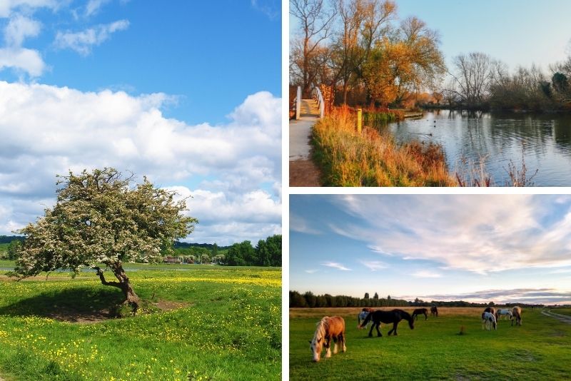 Port Meadow, Oxford