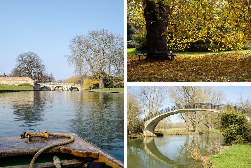 University Parks, Oxford