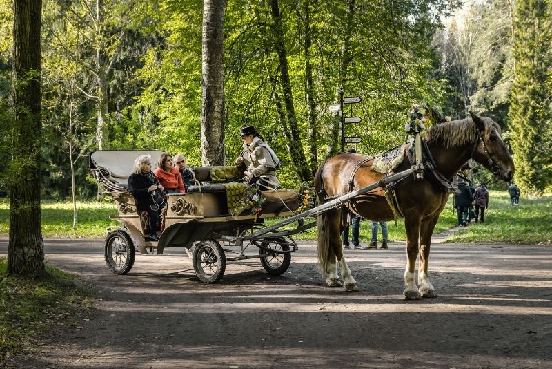 horse riding in St. Peterburg