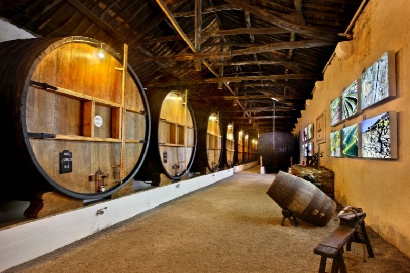 Weinprobe, Porto