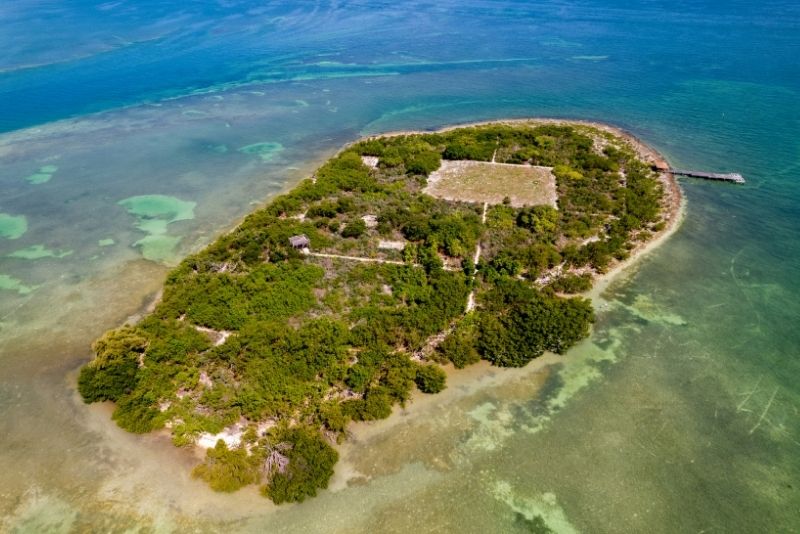 Exploring Floridian Beauty: Bird Key