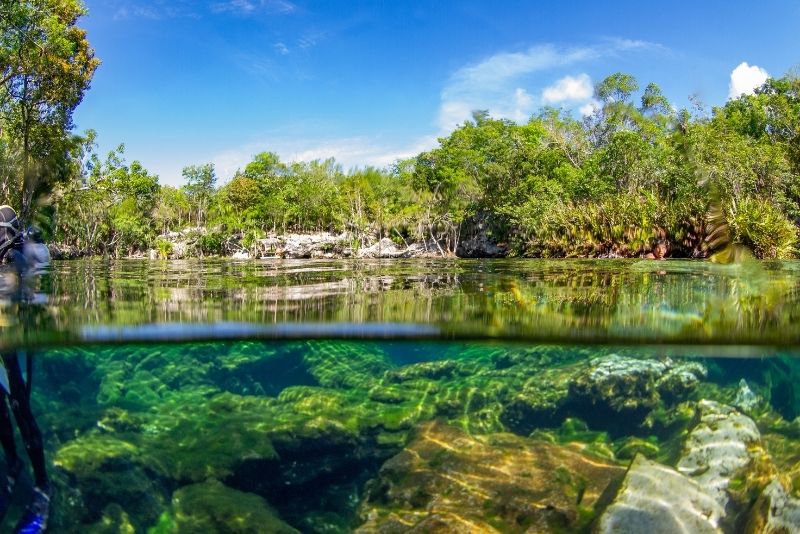 Jardín Del Eden Cenote, Riviera Maya