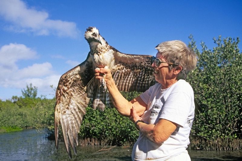 Laura Quinn Wild Bird Rehabilitation Center, Florida Keys