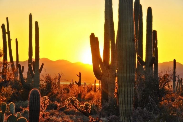 59 Fun Things To Do In Tucson Arizona Tourscanner 6554