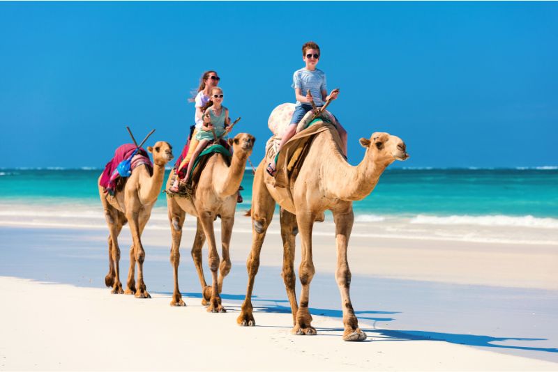 camel riding in Riviera Maya