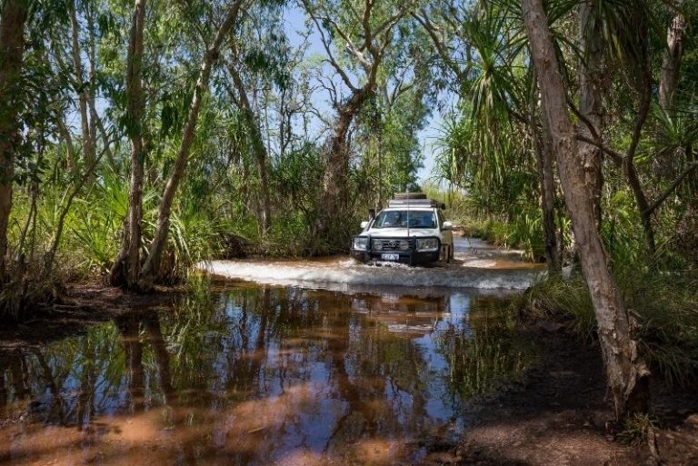 52 Fun & Unusual Things to Do in Darwin, Australia - TourScanner