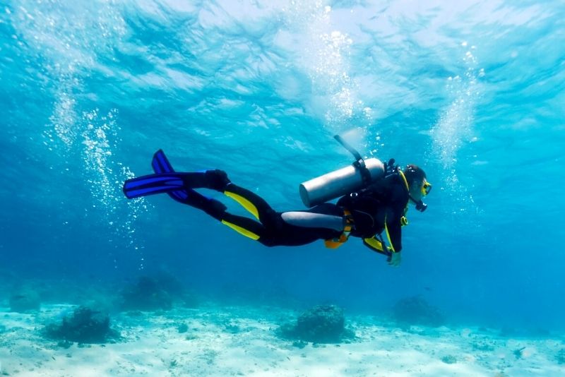 scuba diving in the Florida Keys