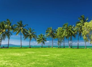 things to do in Port Douglas