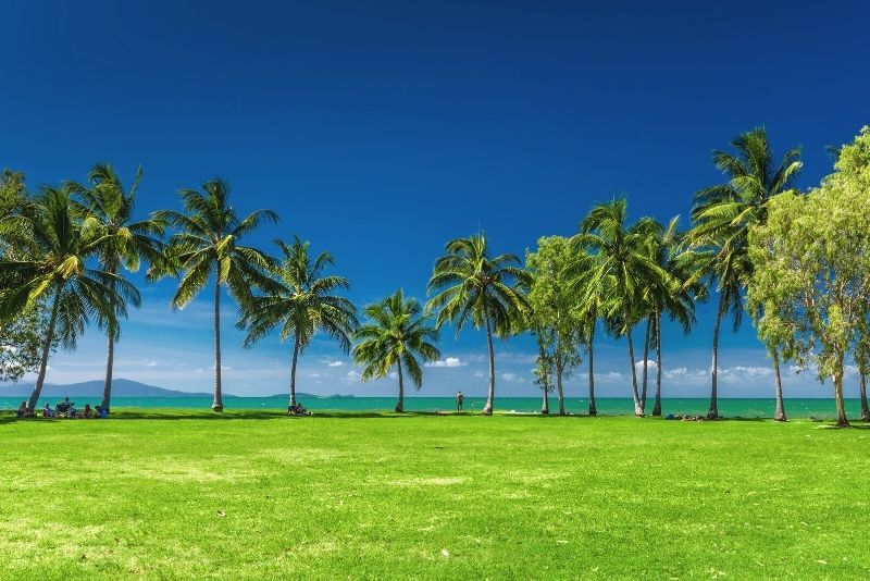 things to do in Port Douglas