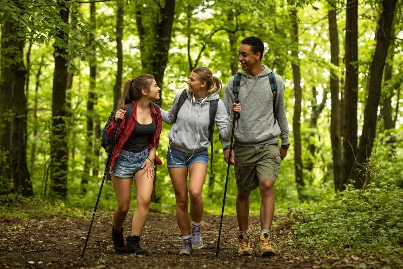 Cincinnati Nature Center, Things to Do, Light In the Forest