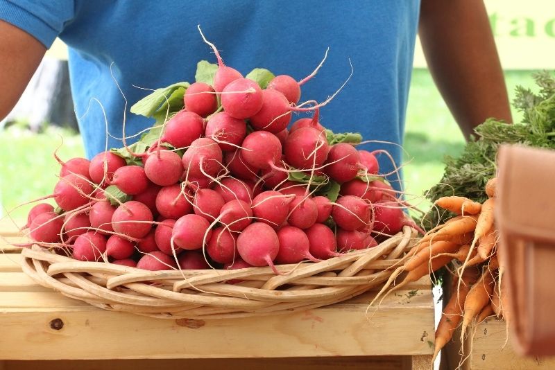 Downtown Growers' Market, Albuquerque