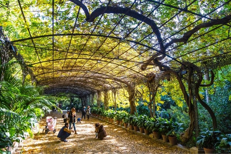 La Concepción Historical Botanical Gardens in Malaga