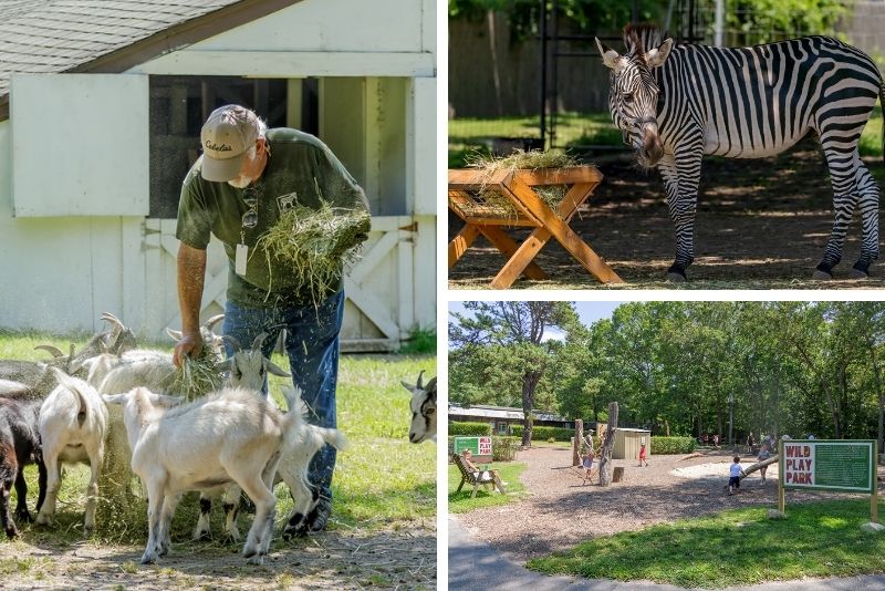 Long Island Game Farm, New York