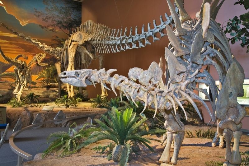 New Mexico Museum of Natural History and Science, Albuquerque