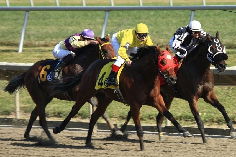 The Downs Racetrack and Casino, Albuquerque