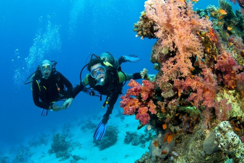 Diving in the Mediterranean Sea: Granada, Spain 