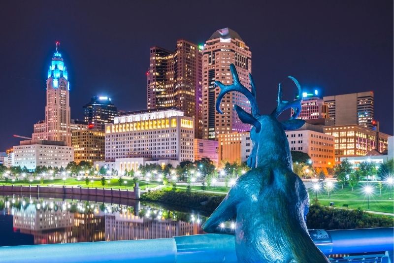 three deers along the Scioto River, Columbus