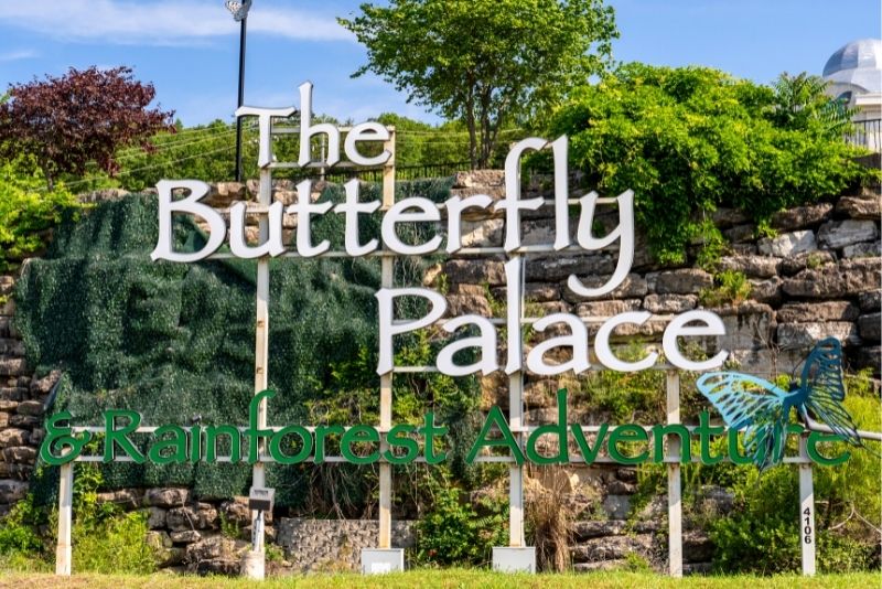 Branson Butterfly Palace