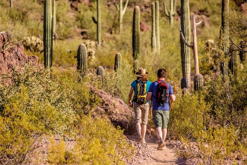 61 Fun Things to do in Scottsdale, Arizona - TourScanner