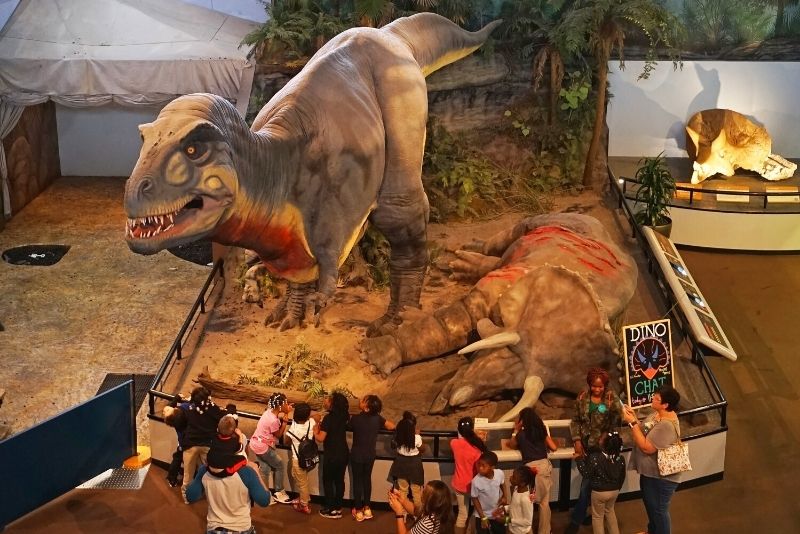 Dinosaur Museum, Branson