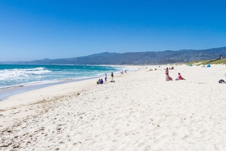 58 Fun Things to Do in Monterey, California - TourScanner