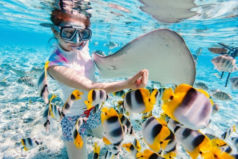 Snorkeling Bora Bora 