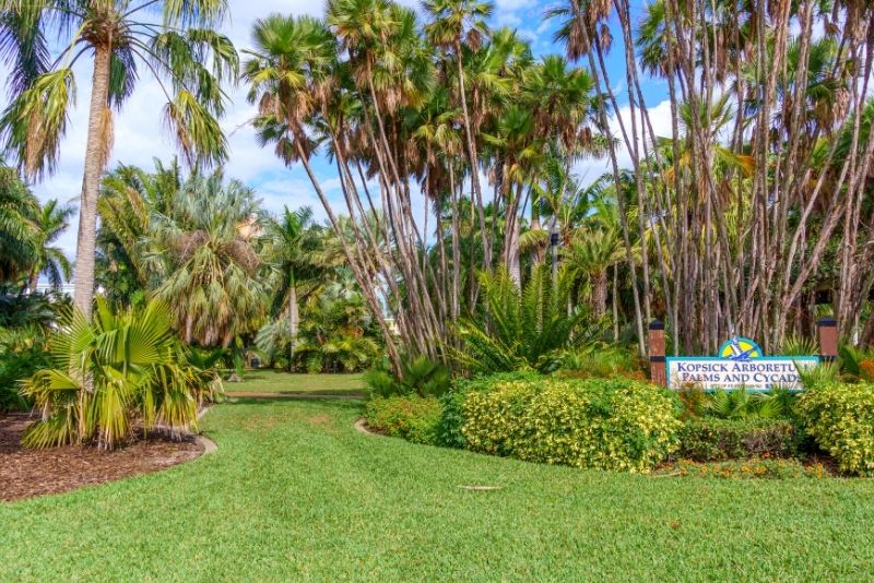 Gizella Kopsick Palm Arboretum, St Petersburg, Florida