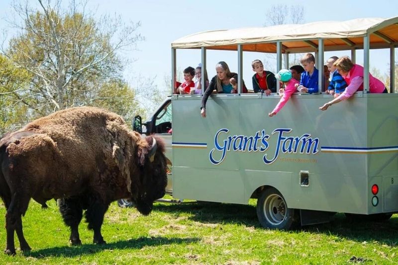 Grant's Farm, St. Louis