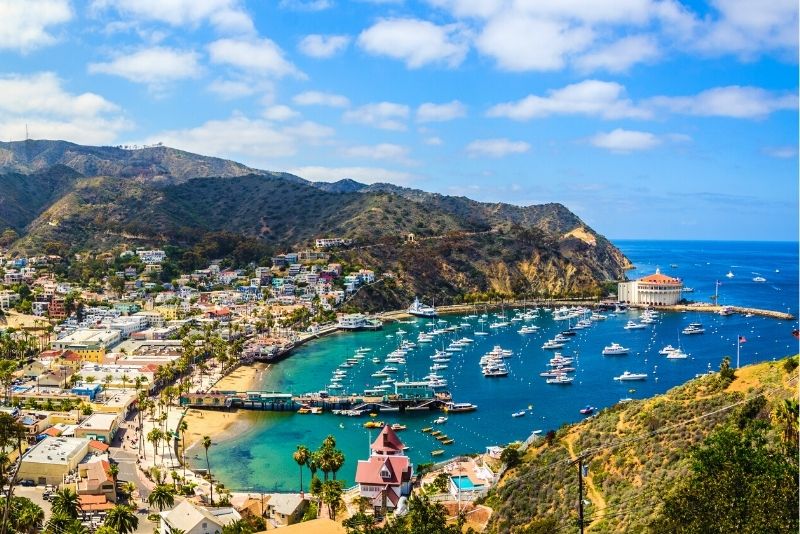 Catalina Island day trips from Los Angeles